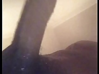 Black Big Cock Horny Huge Cock Solo